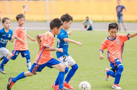 2026国际足联世界杯 健身房室内滑雪机